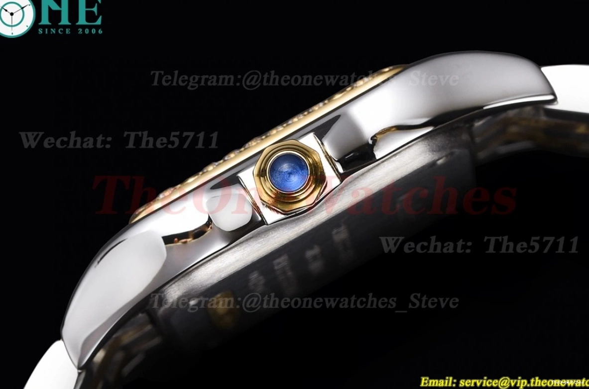 Dia YG SS Ladies White De Swiss 8848F Dial Secrete Panthere 22mm Qtz 0115